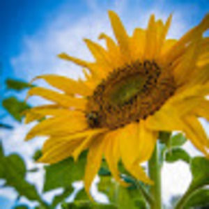 Meet your Posher, Maggie